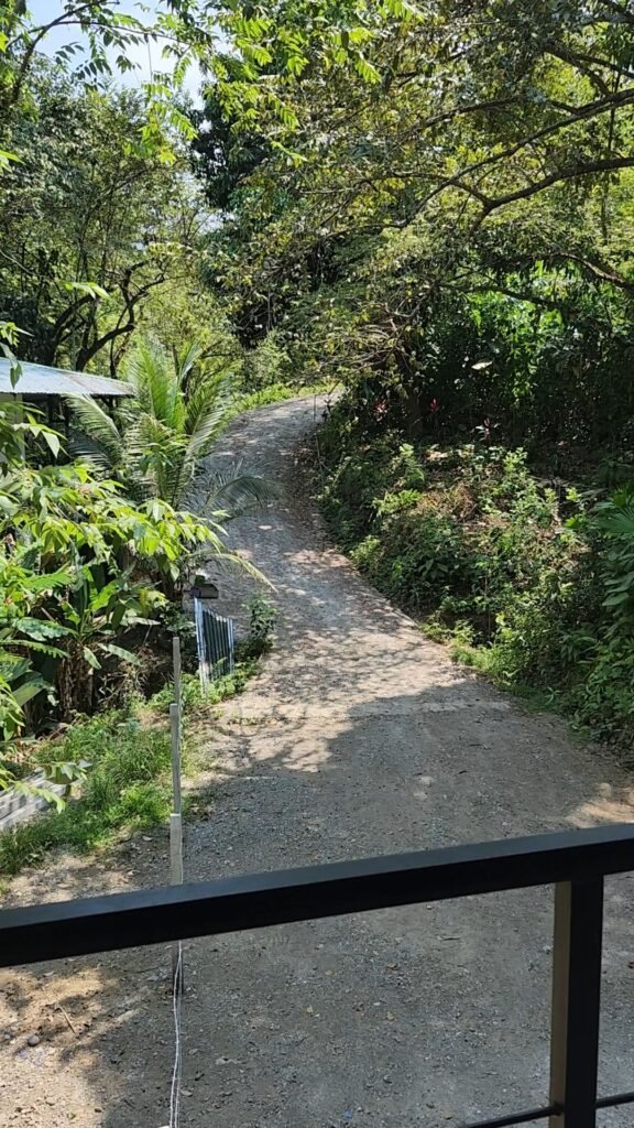 View of the road from my rural Costa Rican apartment.