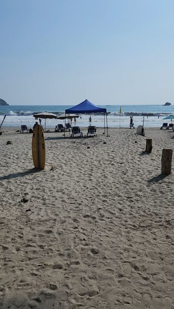 Beautiful beach with surfers.