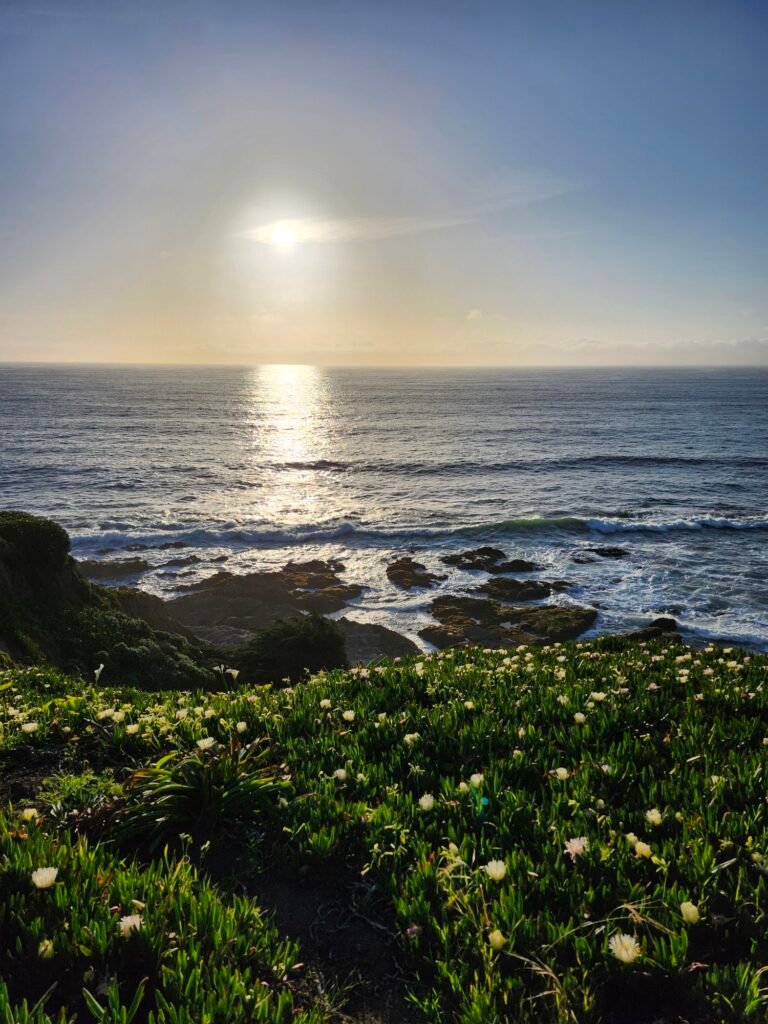 View from Montara CA.